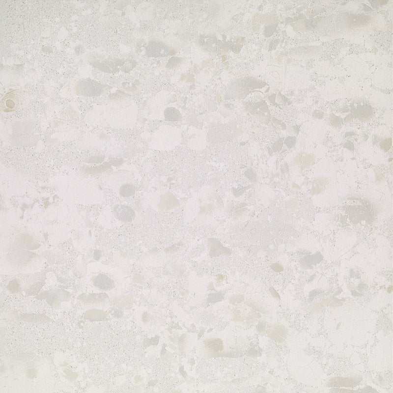 Vantage White Porcelain Floor & Wall Tile