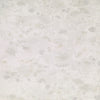 Vantage White Porcelain Floor & Wall Tile