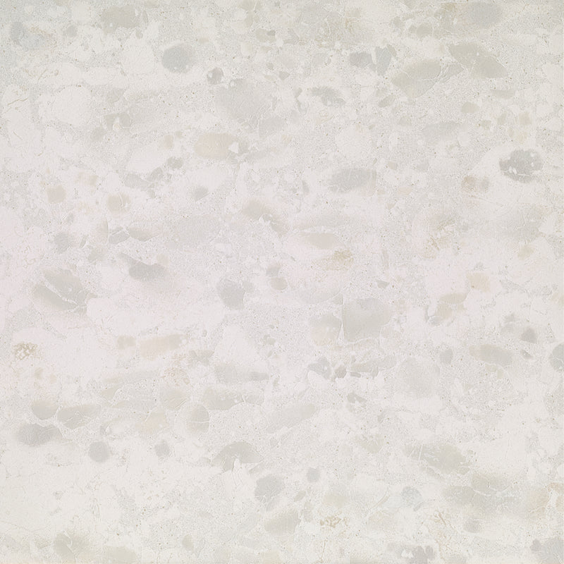 Vantage White Porcelain Floor & Wall Tile