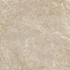 Holystone Beige Porcelain Tile