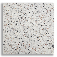 Natural Terrazzo Arlecchino