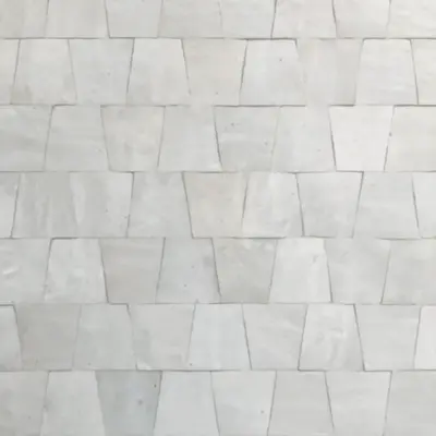 Clay Cirque Lily Zellige Tile