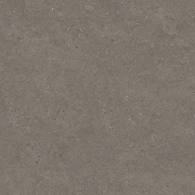 Speckle Charcoal Porcelain Tile