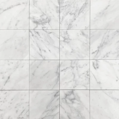 Elementa Carrara C Honed Natural Stone Tile
